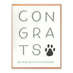 New Pet Congrats Letterpress Greeting Card