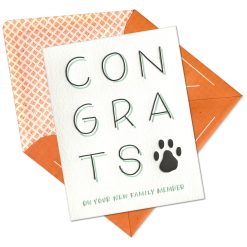 New Pet Congrats Letterpress Greeting Card with Envelope