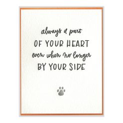 Pet Sympathy Letterpress Greeting Card